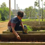 A young man planting seeds in a sunny community garden in Jawa Barat, Indonesia.