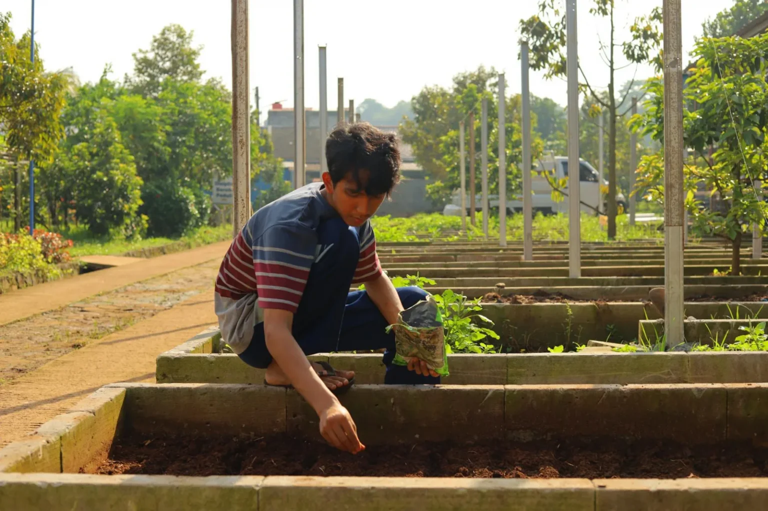 A young man planting seeds in a sunny community garden in Jawa Barat, Indonesia.