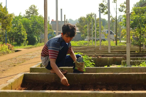 A young man planting seeds in a sunny community garden in Jawa Barat, Indonesia.