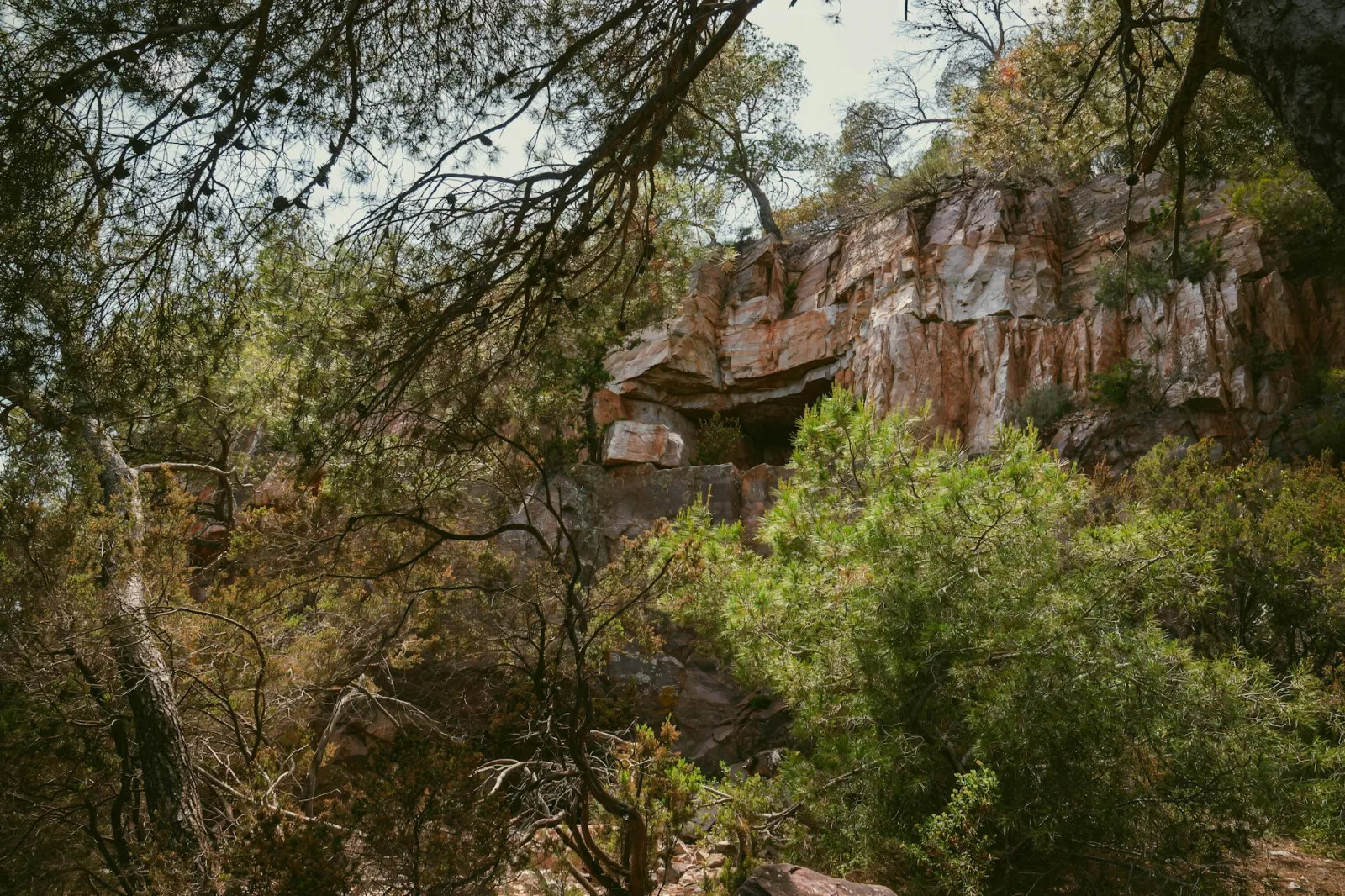 Explore the hidden cave amidst Le Pradet's lush greenery and rugged mountainside.