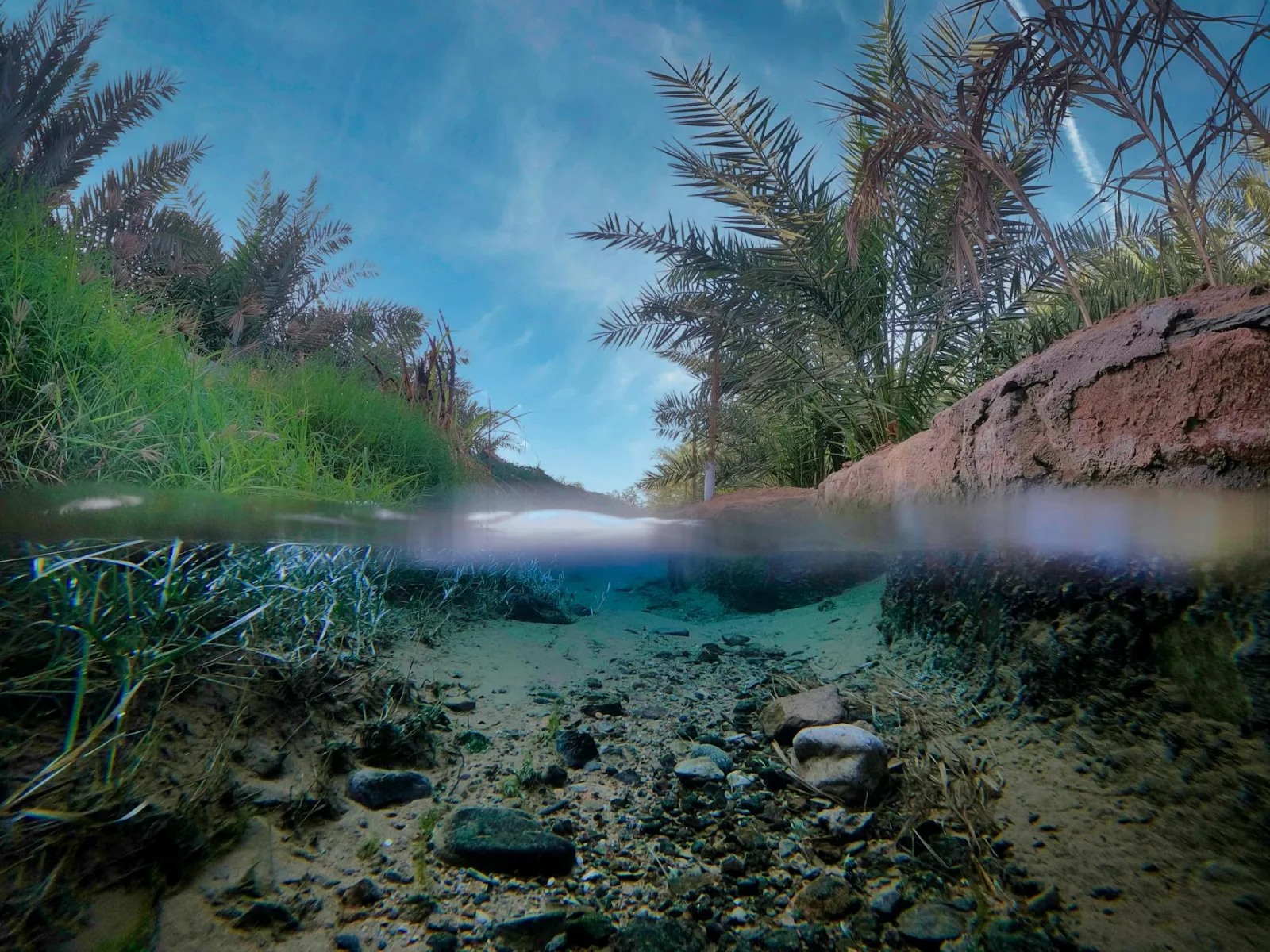 Explore the serene underwater landscape of Yanbu Al Nakhal, Saudi Arabia's lush oasis.