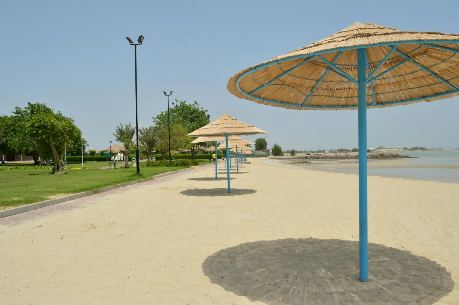 Relaxing sandy beach with straw umbrellas and bright blue skies in Abu Dhabi.