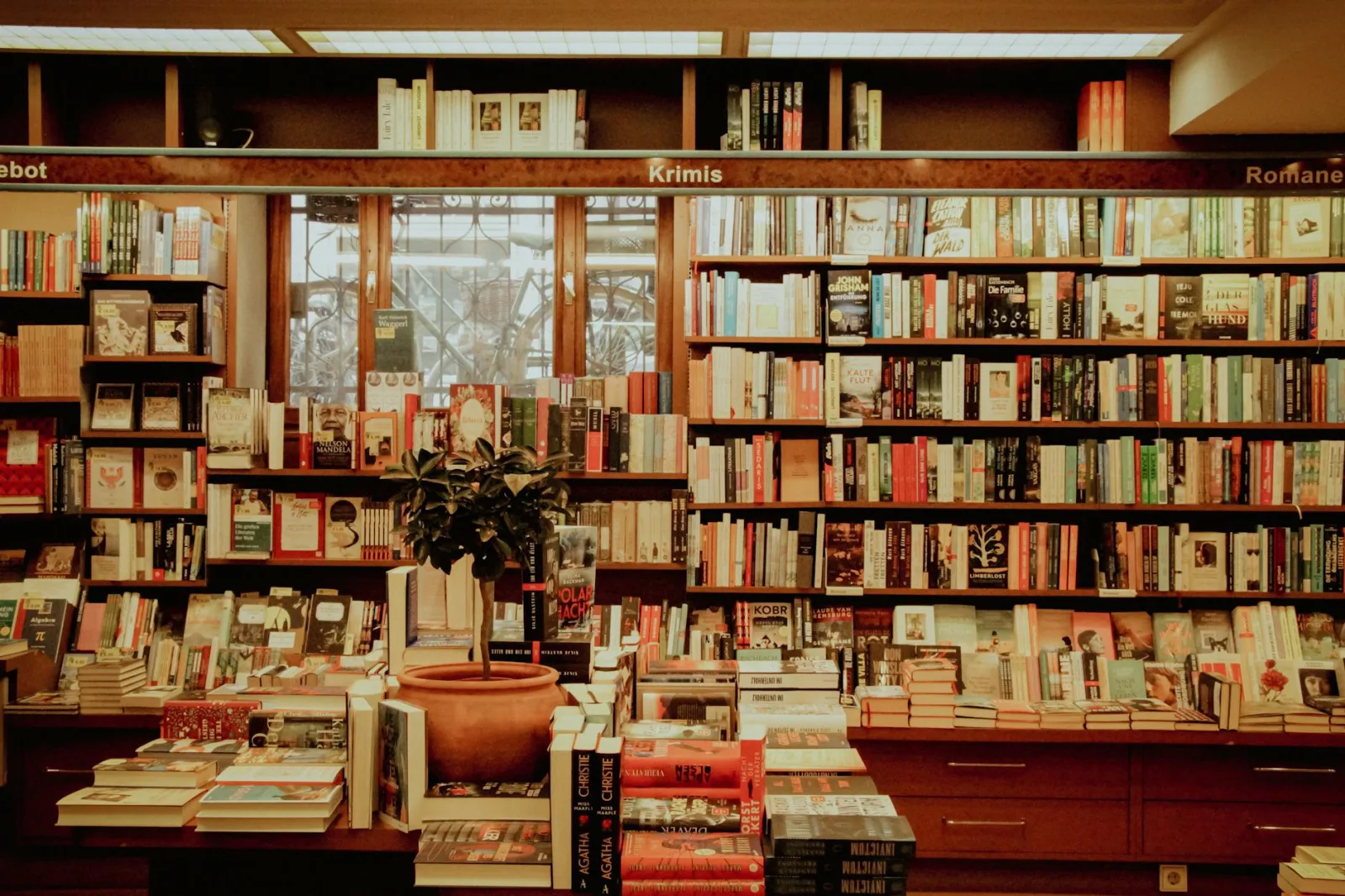 An inviting bookstore interior with shelves full of diverse books, offering a warm literary atmosphere.