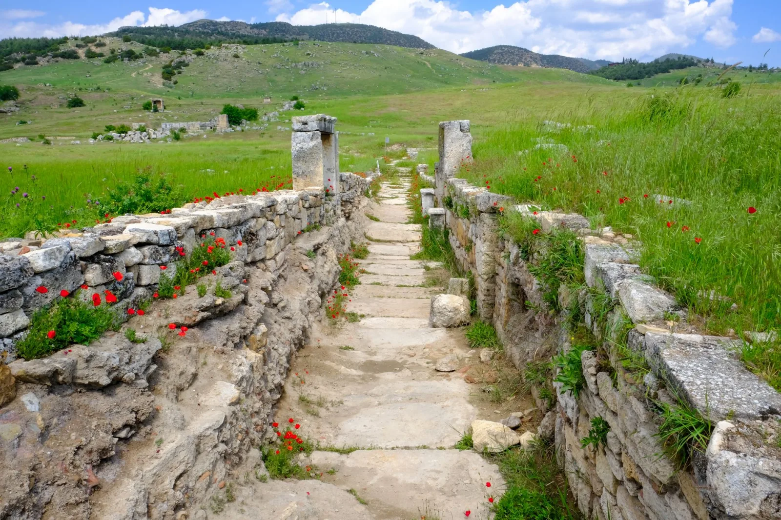 Explore the serene beauty of an ancient stone path amidst lush hills and vibrant wildflowers.