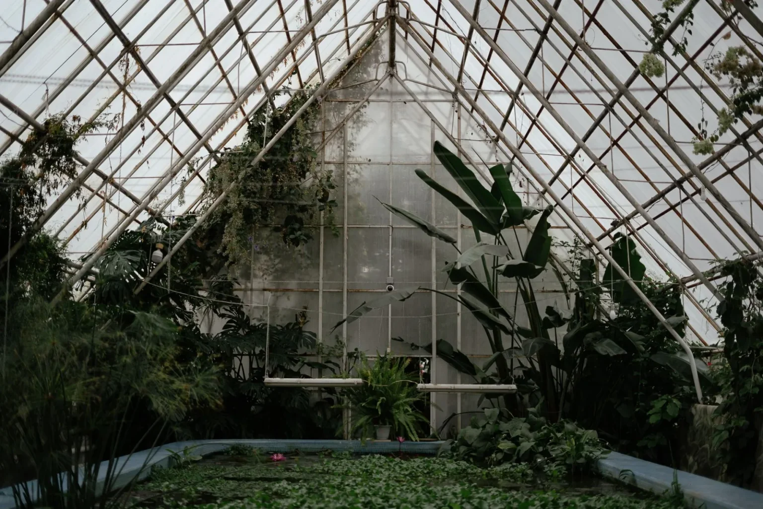 Interior view of a greenhouse filled with diverse plants and natural light.