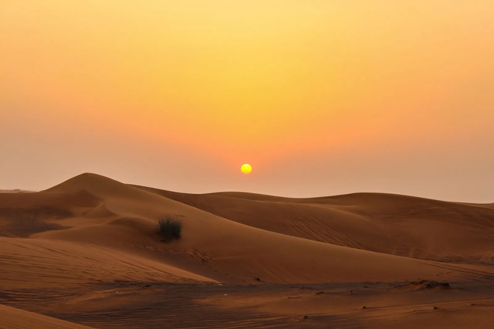 Stunning view of golden sand dunes and sunset in Dubai desert.