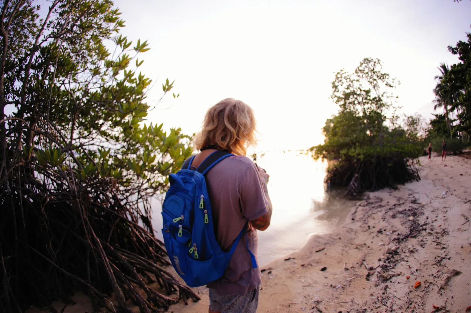 A solo backpacker explores a tropical beach at sunset, surrounded by lush mangroves.