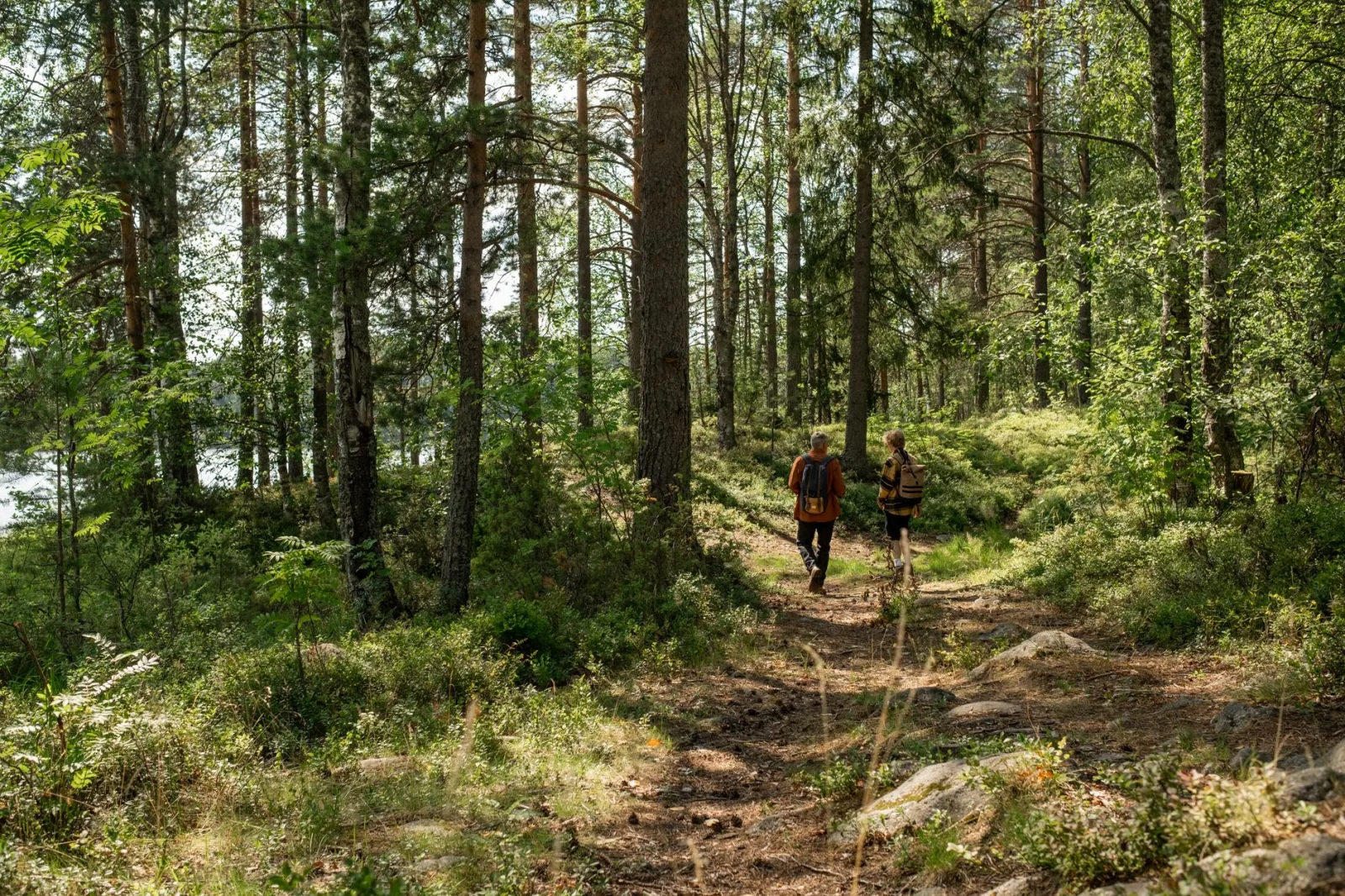 Grandfather and grandson hiking through a sunlit forest, enjoying nature and togetherness.