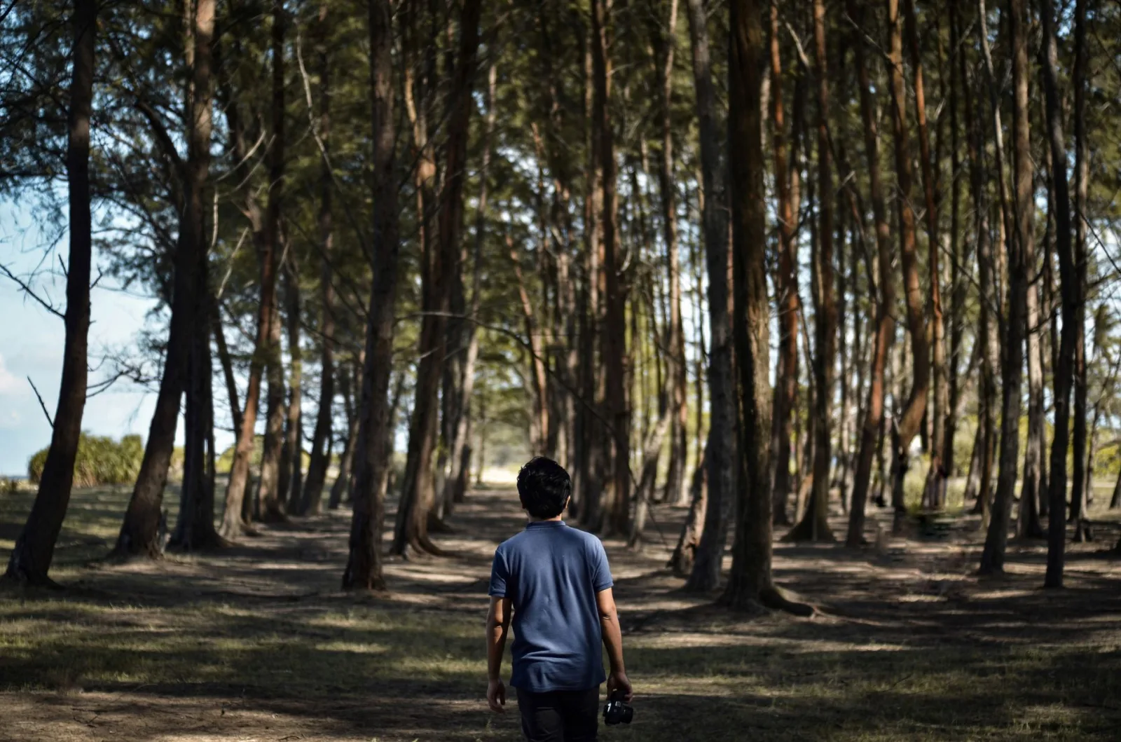 A person strolling through a serene wooded path on a sunny day, carrying a camera.