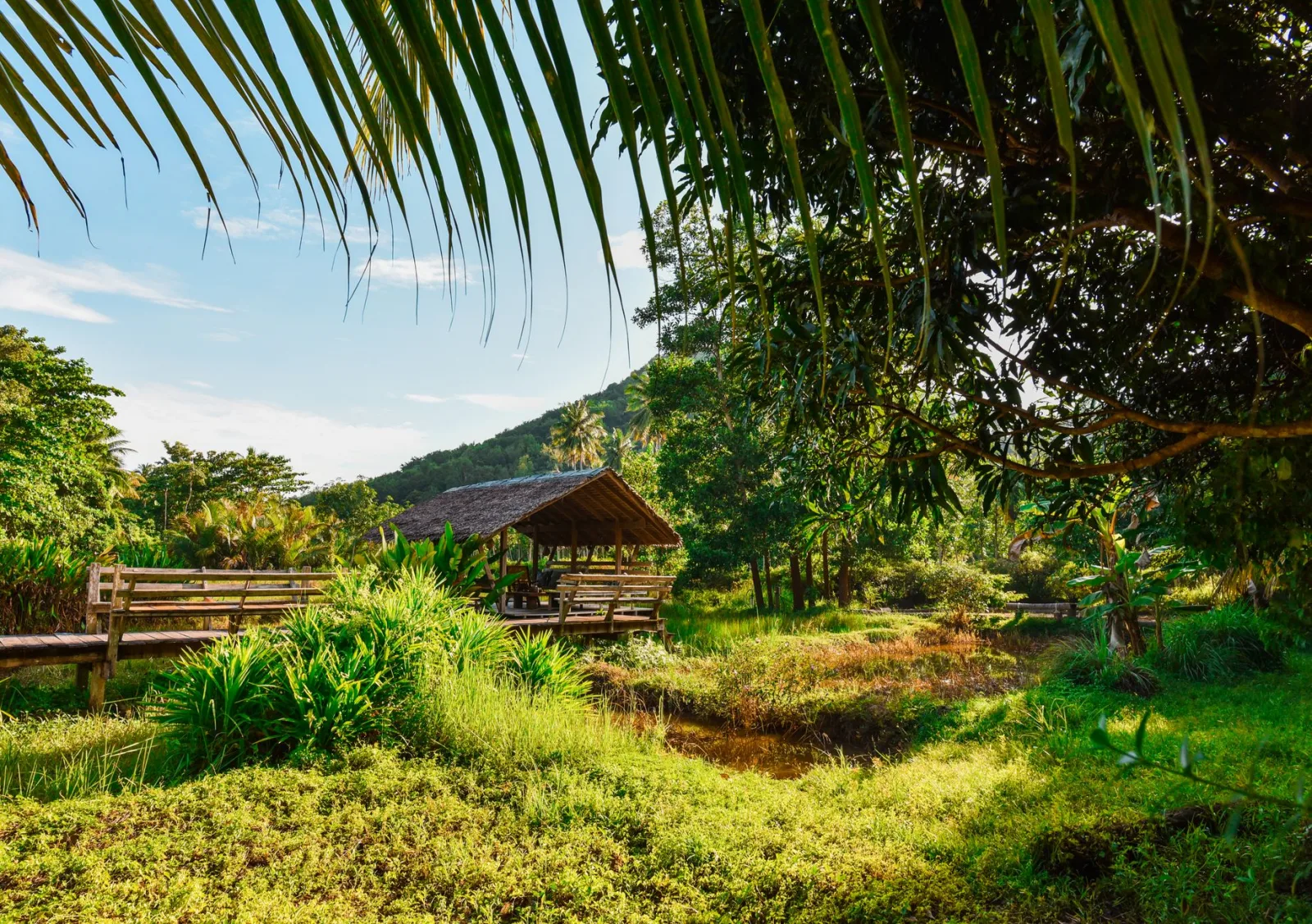 A tropical hut surrounded by lush greenery and palm trees, perfect for relaxation.