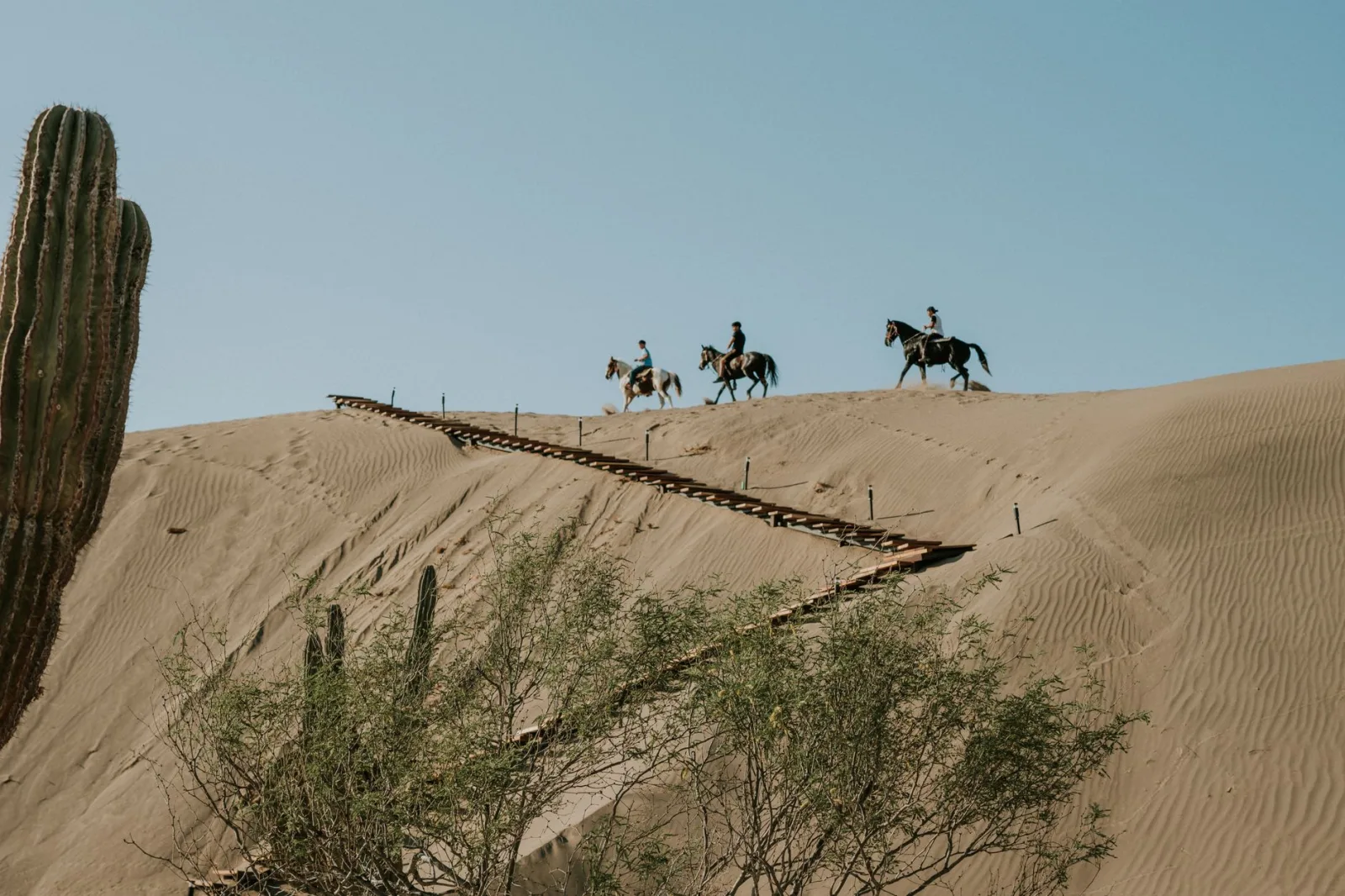 Three riders ascend sandy desert dunes on horseback under a clear blue sky.