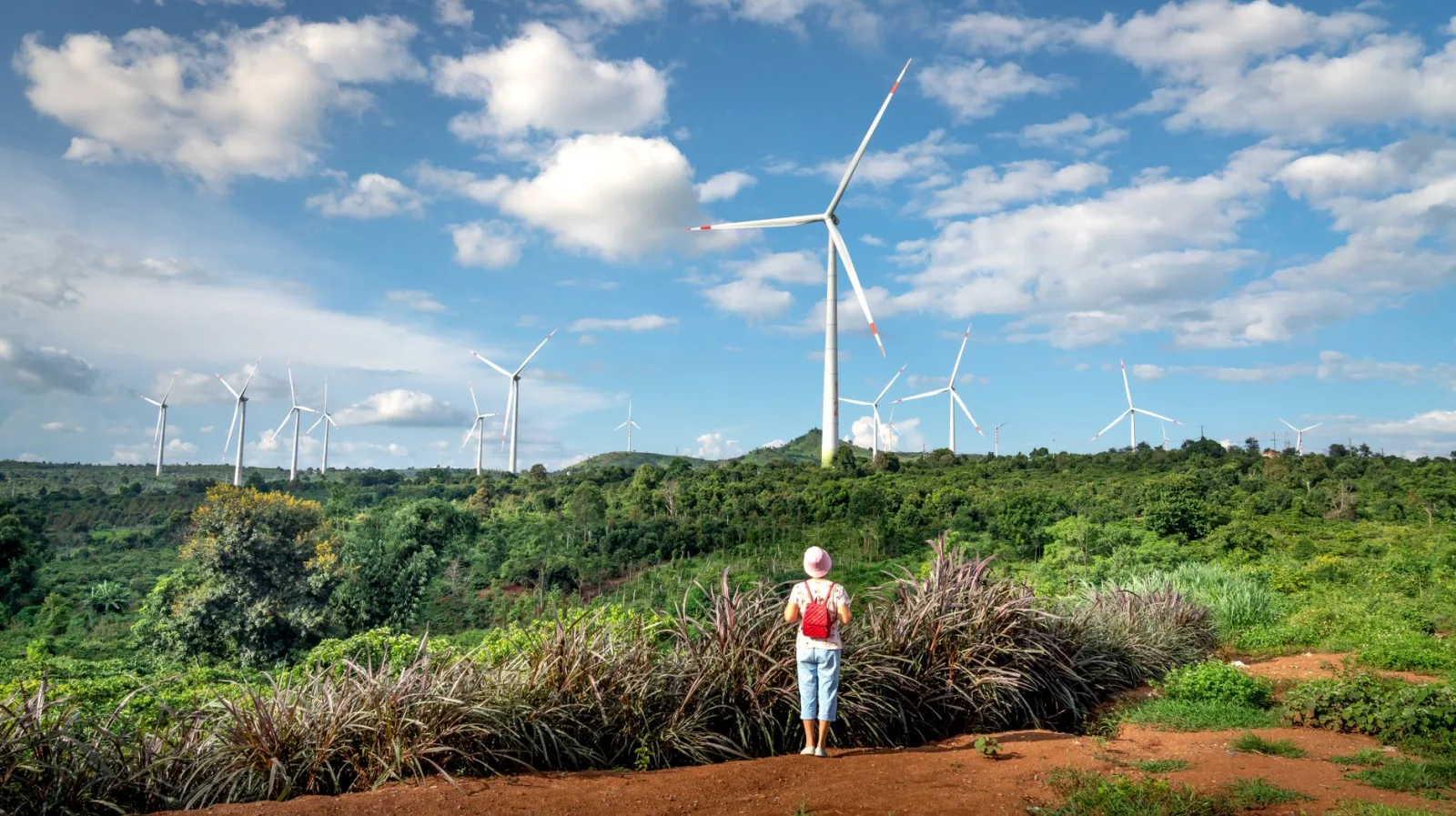 Woman exploring a rural area with wind turbines in a lush summer landscape.