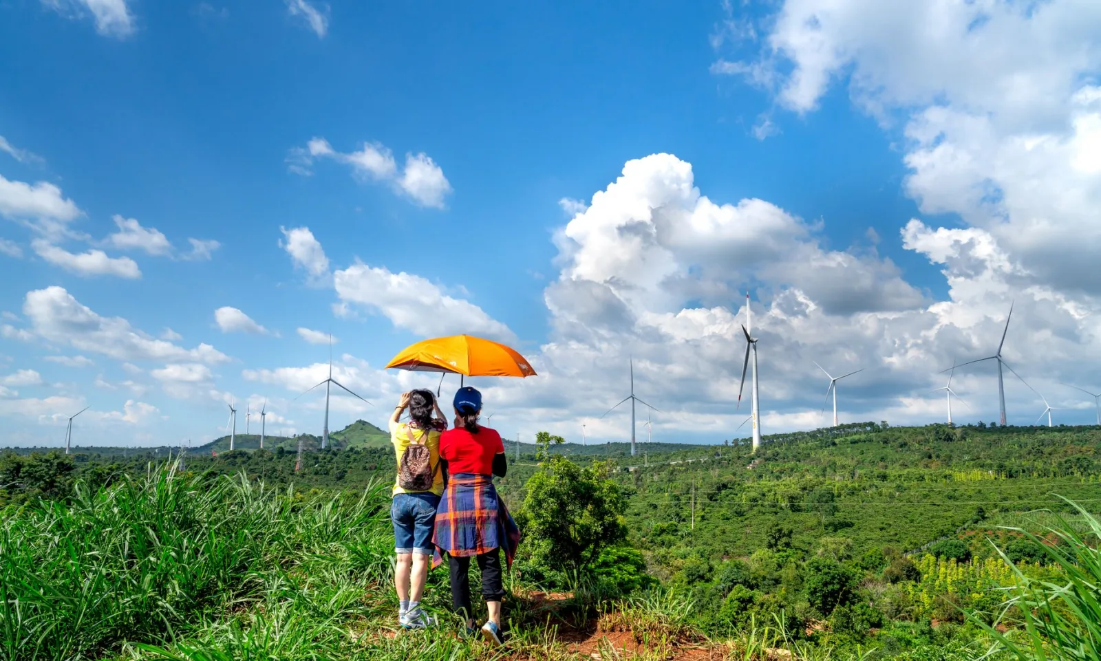 Two people under an umbrella view wind turbines on a sunny rural hillside.