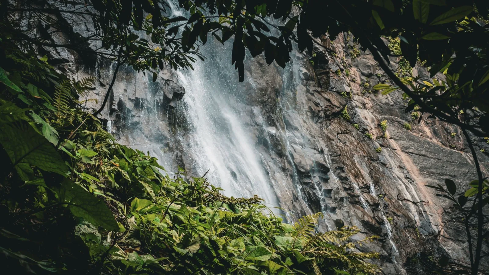 Beautiful waterfall cascading down rocky cliffs surrounded by lush greenery in Artvin, Türkiye.