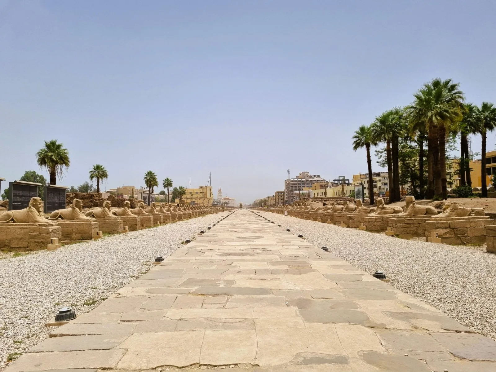 The historic Avenue of Sphinxes in Luxor, Egypt under a clear sky, showcasing ancient architecture.