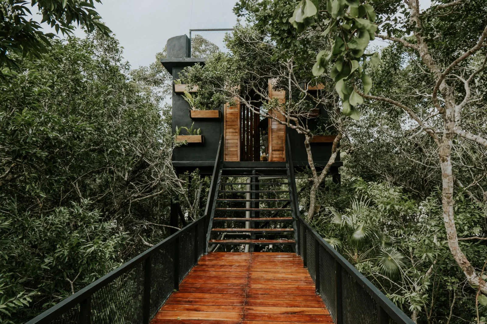 Treehouse surrounded by dense greenery in a tropical jungle, featuring a bridge walkway.