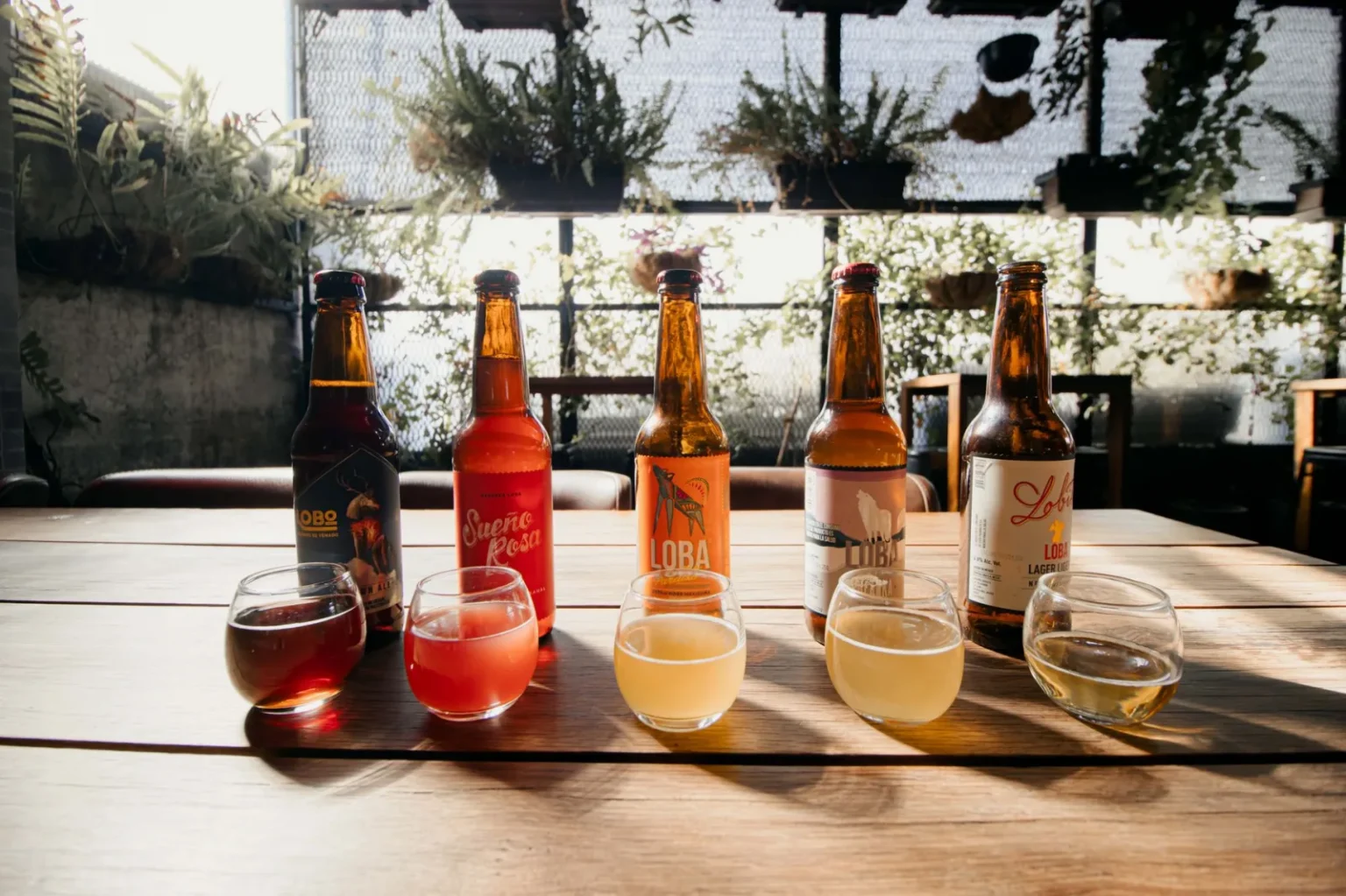 Explore a diverse selection of craft beers in a sunlit café setting in Mexico City, perfect for beer enthusiasts.