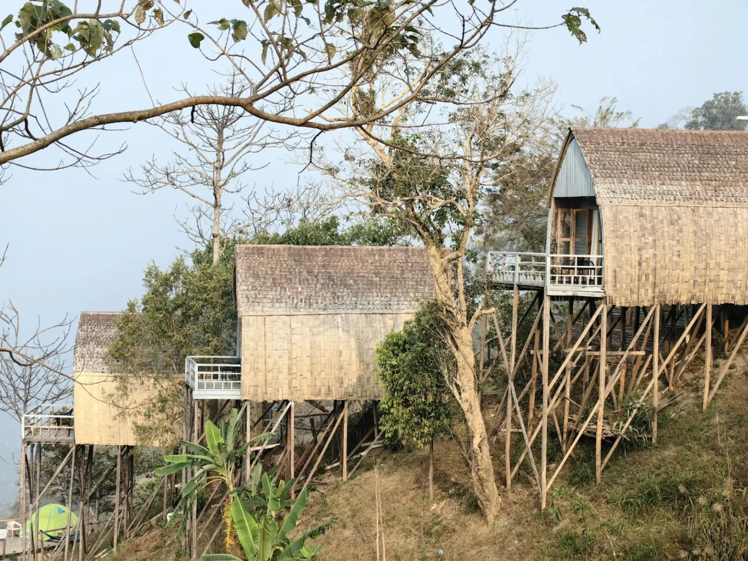 Tranquil view of bamboo treehouses amidst trees, ideal for eco-tourism.
