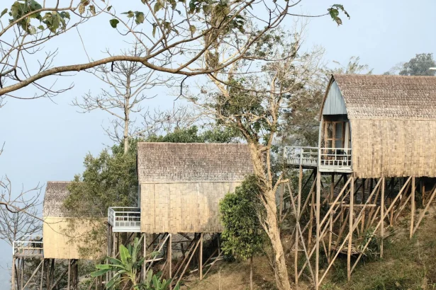 Tranquil view of bamboo treehouses amidst trees, ideal for eco-tourism.