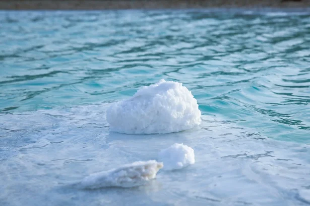 Close-up of natural salt formations emerging from the sea in Abu Dhabi, United Arab Emirates.