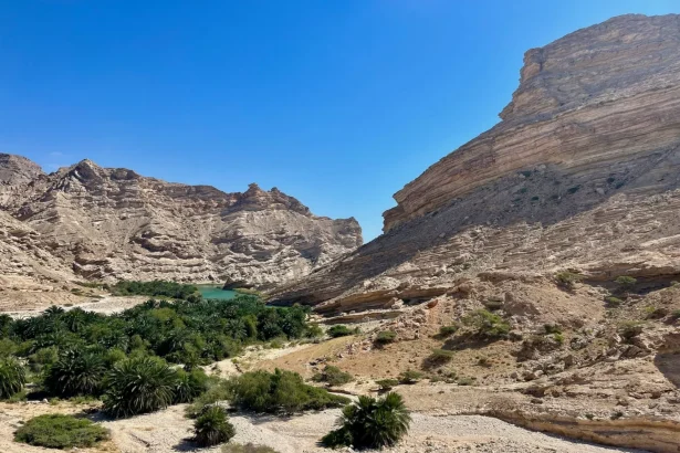 Explore the stunning Dhofar canyon oasis with lush greenery and towering rock formations.