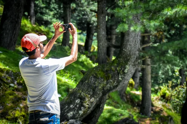 A man stands in a forest holding a smartphone to capture the natural beauty around him.