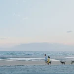 A family strolls along Phan Thiết beach with their dogs during a serene summer evening.