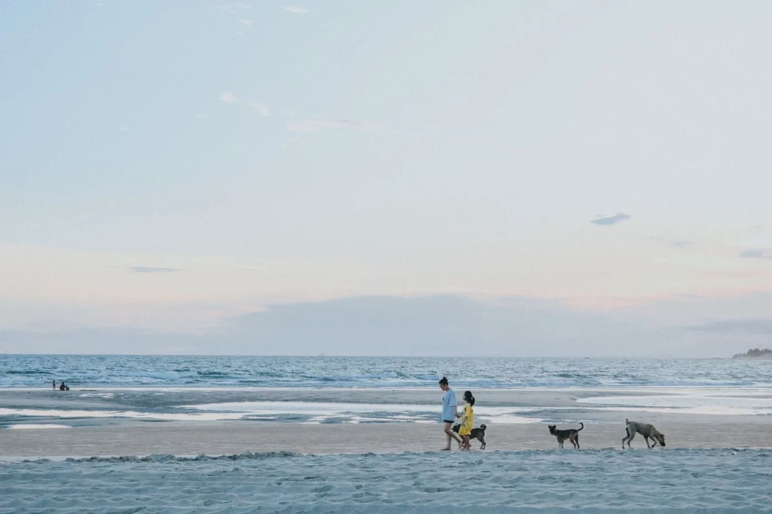 A family strolls along Phan Thiết beach with their dogs during a serene summer evening.