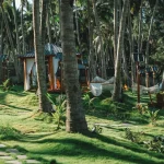 Scenic view of a lush tropical garden with hammocks in Phan Thiet, Vietnam.