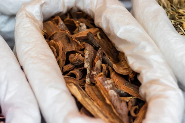 Close-up of dried bark used for herbal tea, captured in São Paulo market.
