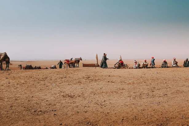 Bedouins with camels leading nomadic lifestyle resting in hot dry desert while traveling