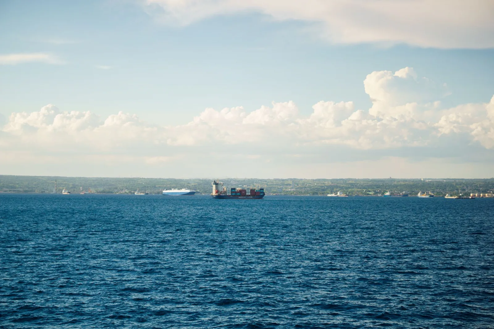 A cargo ship sails on the ocean with a scenic horizon and bright clouds in the sky.