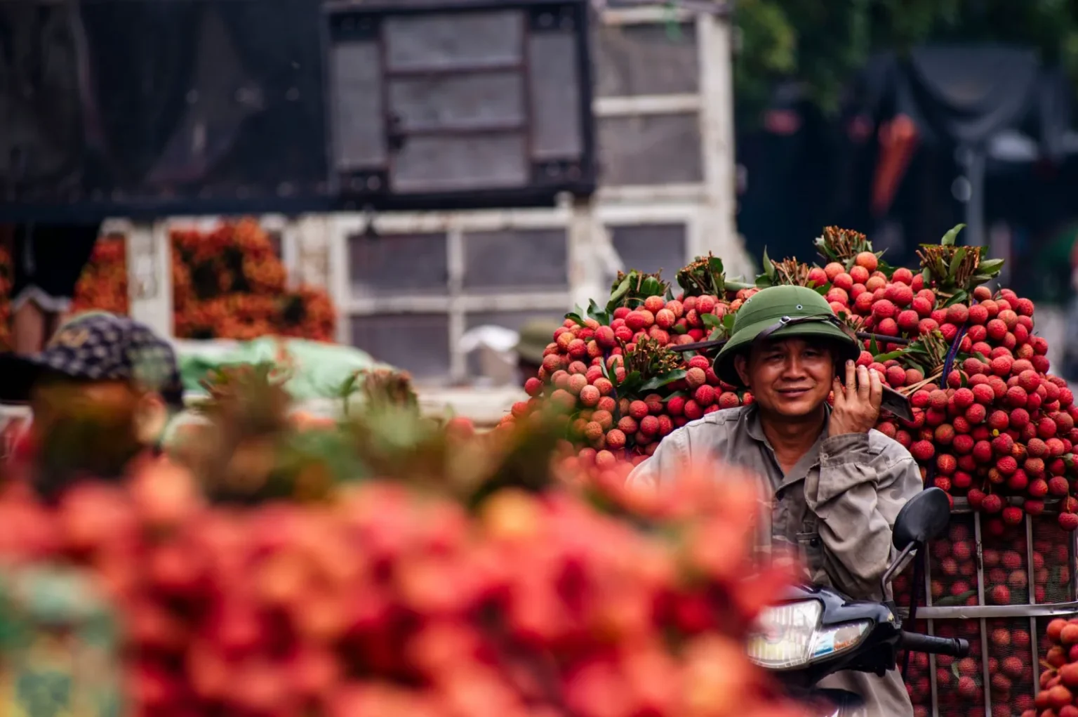 A farmer with a lychee harvest, showcasing Bac Giang's vibrant agricultural life.