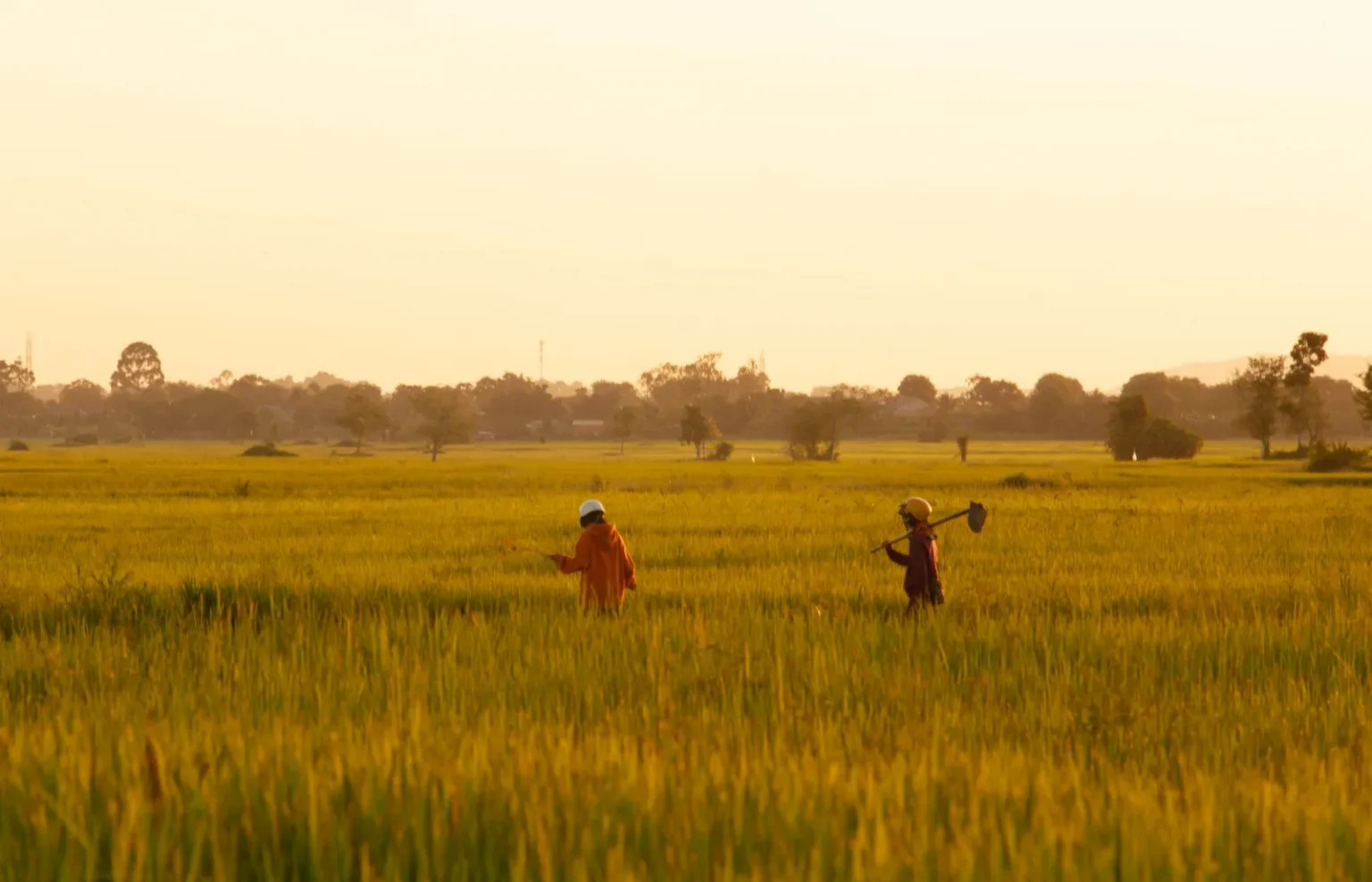 Two workers in a field during twilight, capturing the essence of rural farming life.
