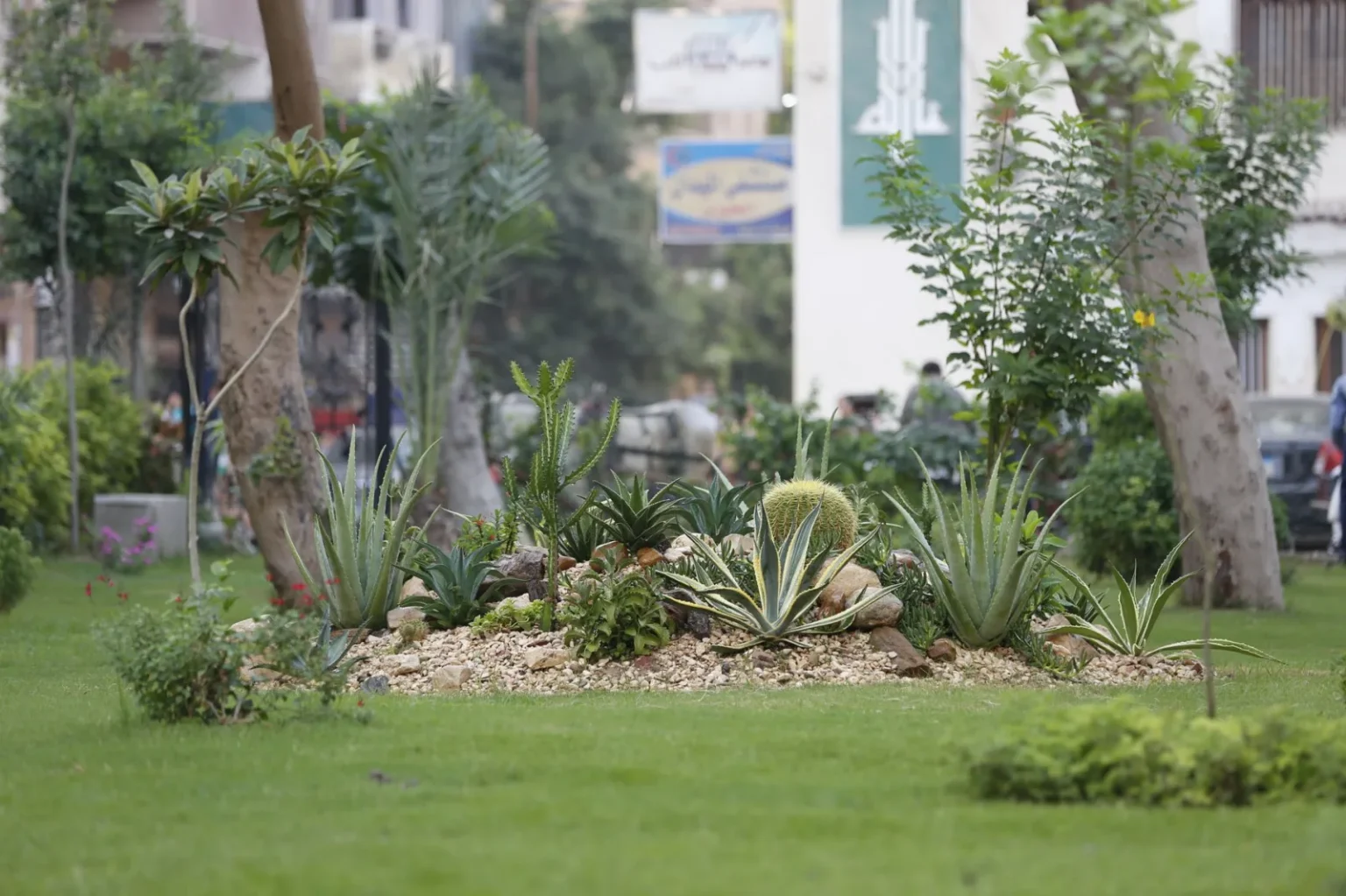 A vibrant garden featuring diverse succulents and greenery in an urban setting, perfect for decor inspiration.