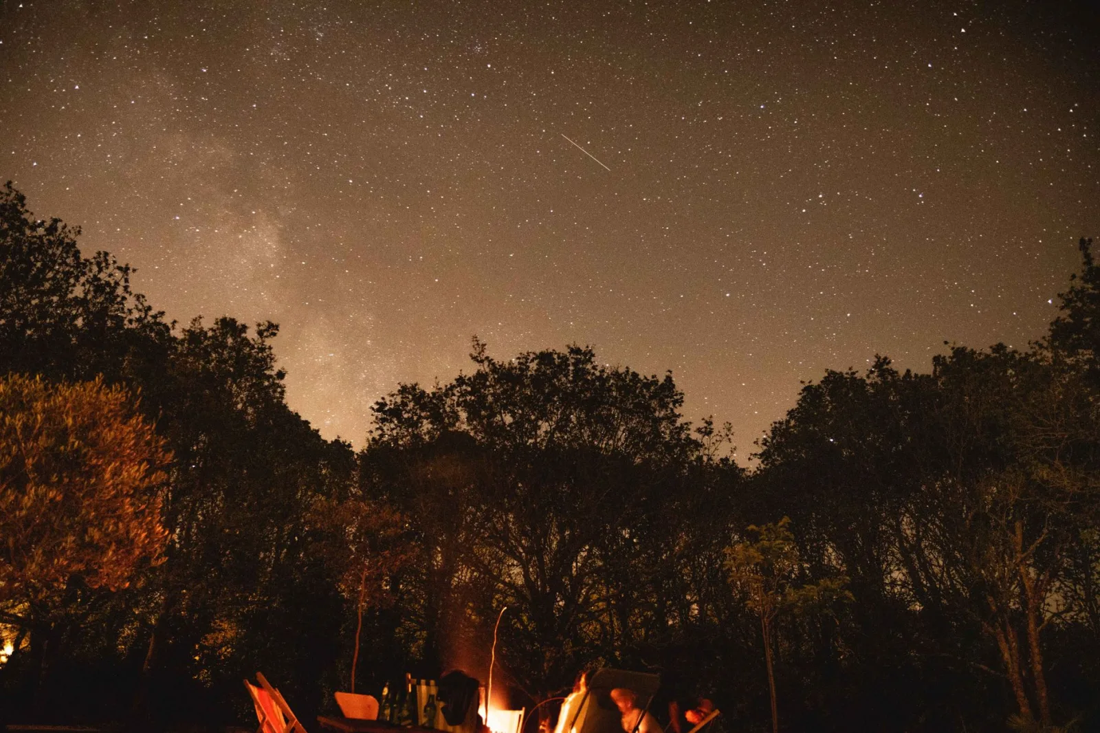 A serene night scene featuring a campfire under a starry sky in a forest.