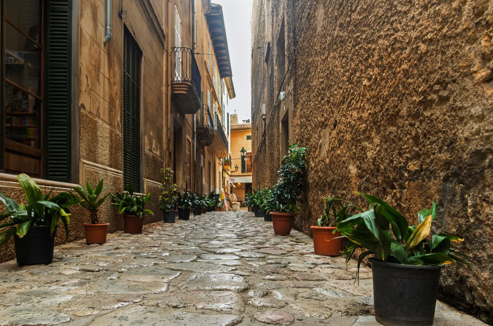 Quaint European street lined with potted plants in a historic setting.