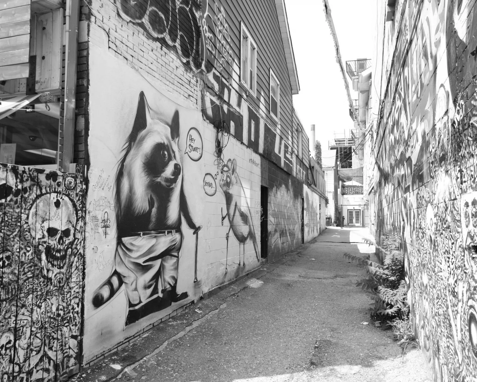 A monochrome urban alley in Toronto adorned with graffiti art, showcasing street culture.
