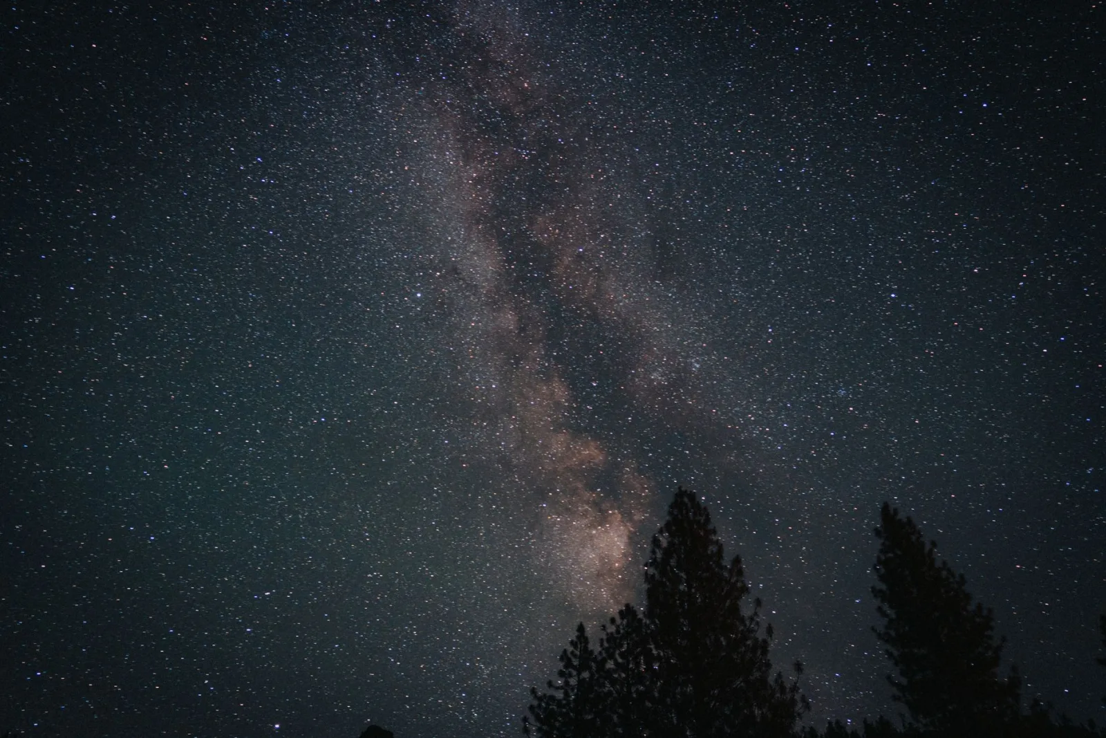 Stunning view of the Milky Way and starry sky above Yosemite National Park trees at night.