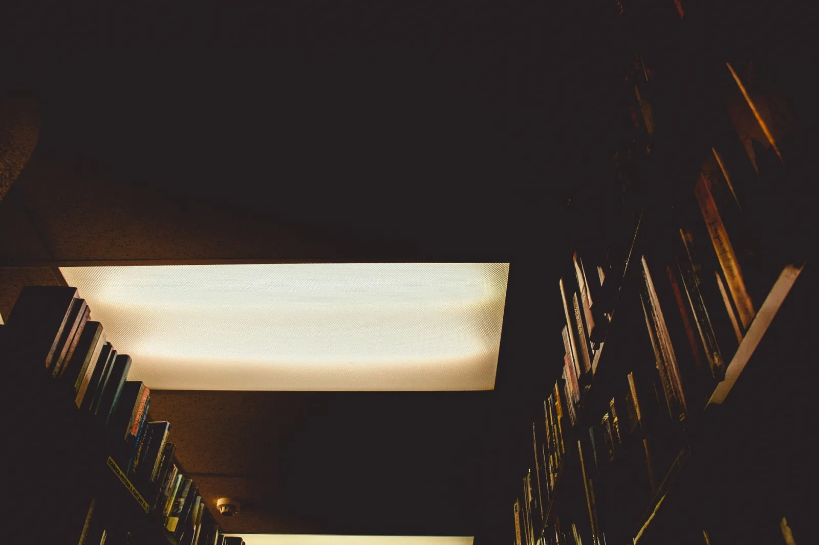 Dark, atmospheric view of library shelves with overhead lighting in Wellington.
