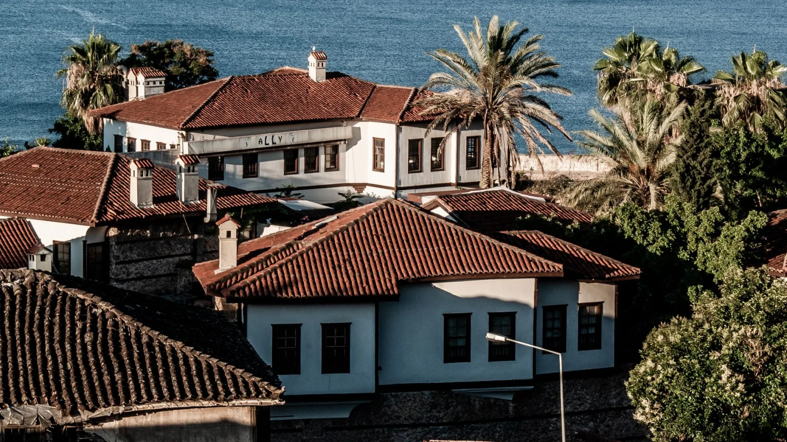Charming coastal town with traditional red-roofed houses and lush palm trees.