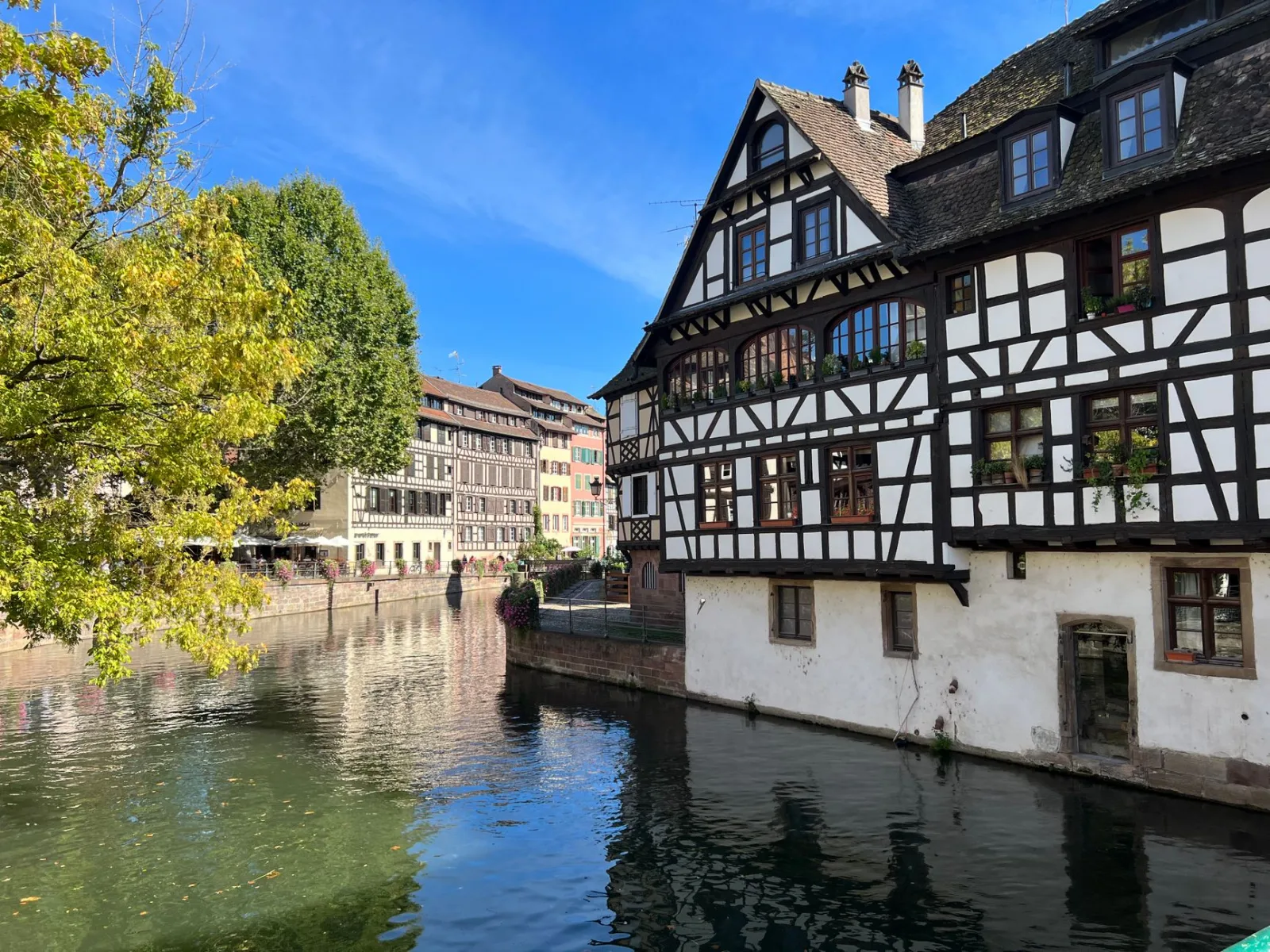 Picturesque view of half-timbered houses along a canal in Strasbourg, France on a sunny day.