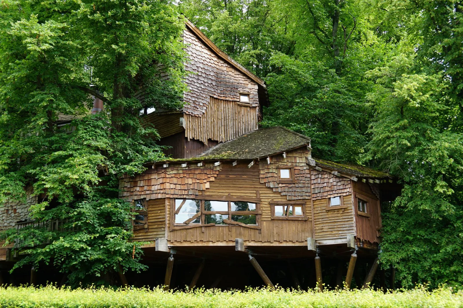 A charming wooden treehouse surrounded by dense green foliage, offering a secluded retreat.