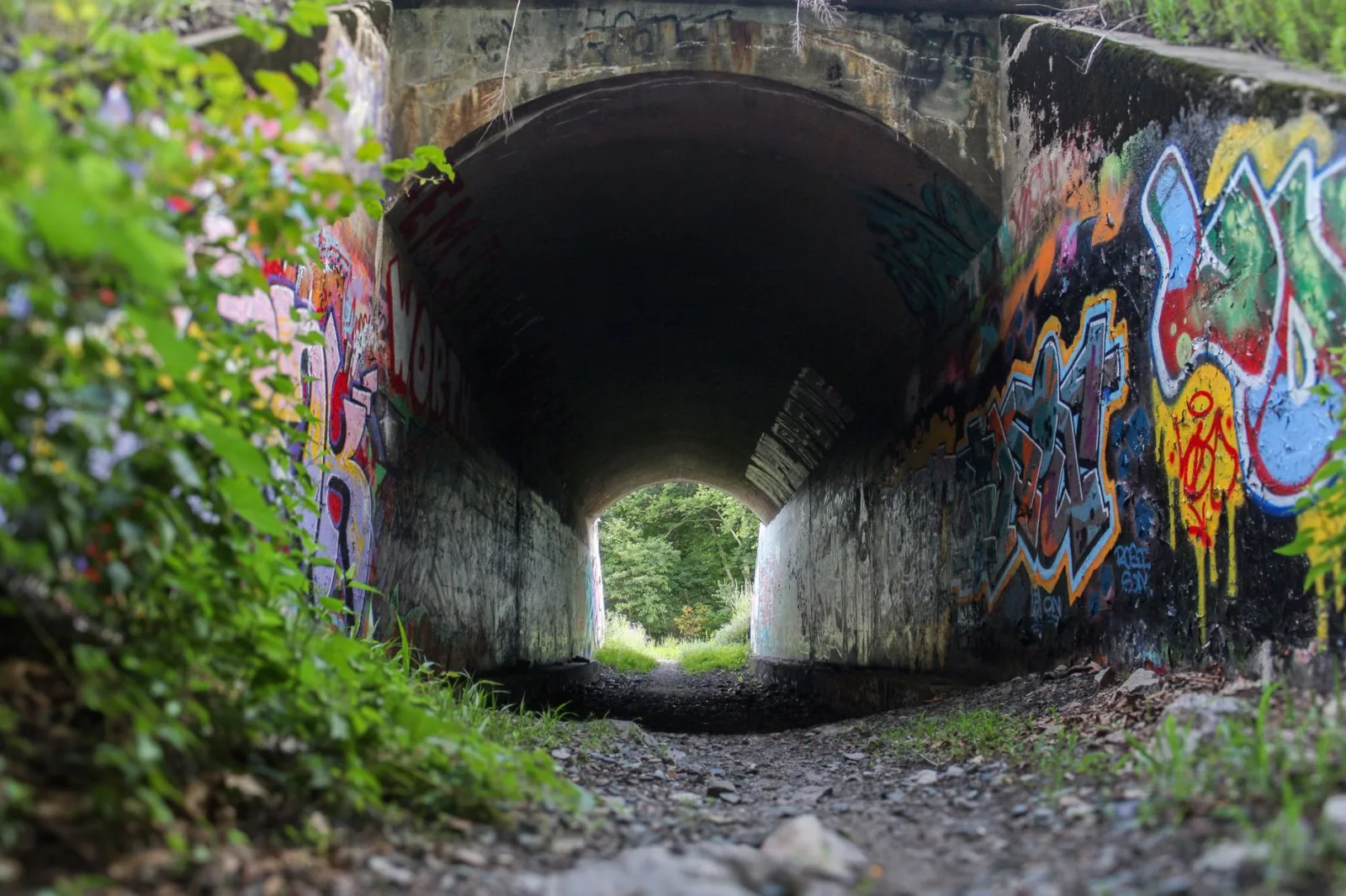 Colorful graffiti adorns the walls of a tunnel in Needham, MA, creating an urban art scene.