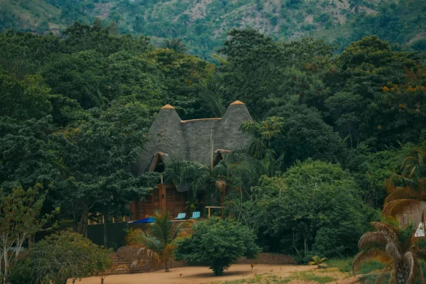 A rustic lodge with a thatched roof surrounded by lush greenery and hills.