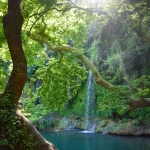 Tranquil waterfall cascading amidst lush green forest, embodying natural serenity and beauty.