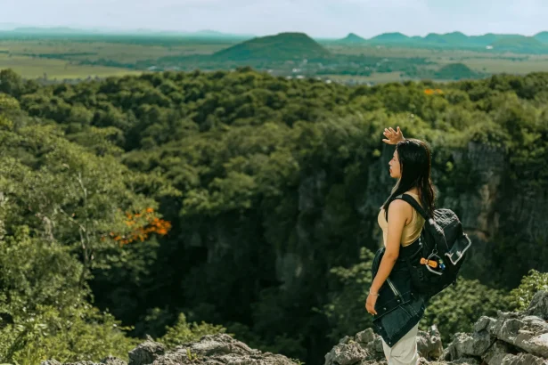 A woman stands on a rocky ledge overlooking lush green forests and distant mountains.