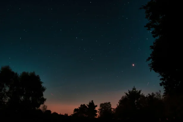 A serene night sky filled with stars and silhouetted trees.