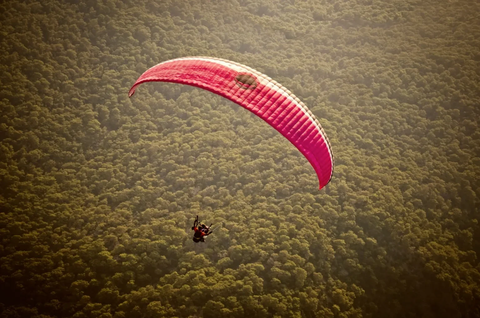A thrilling paragliding flight over the dense forests of Ölüdeniz, Türkiye, captured from above.