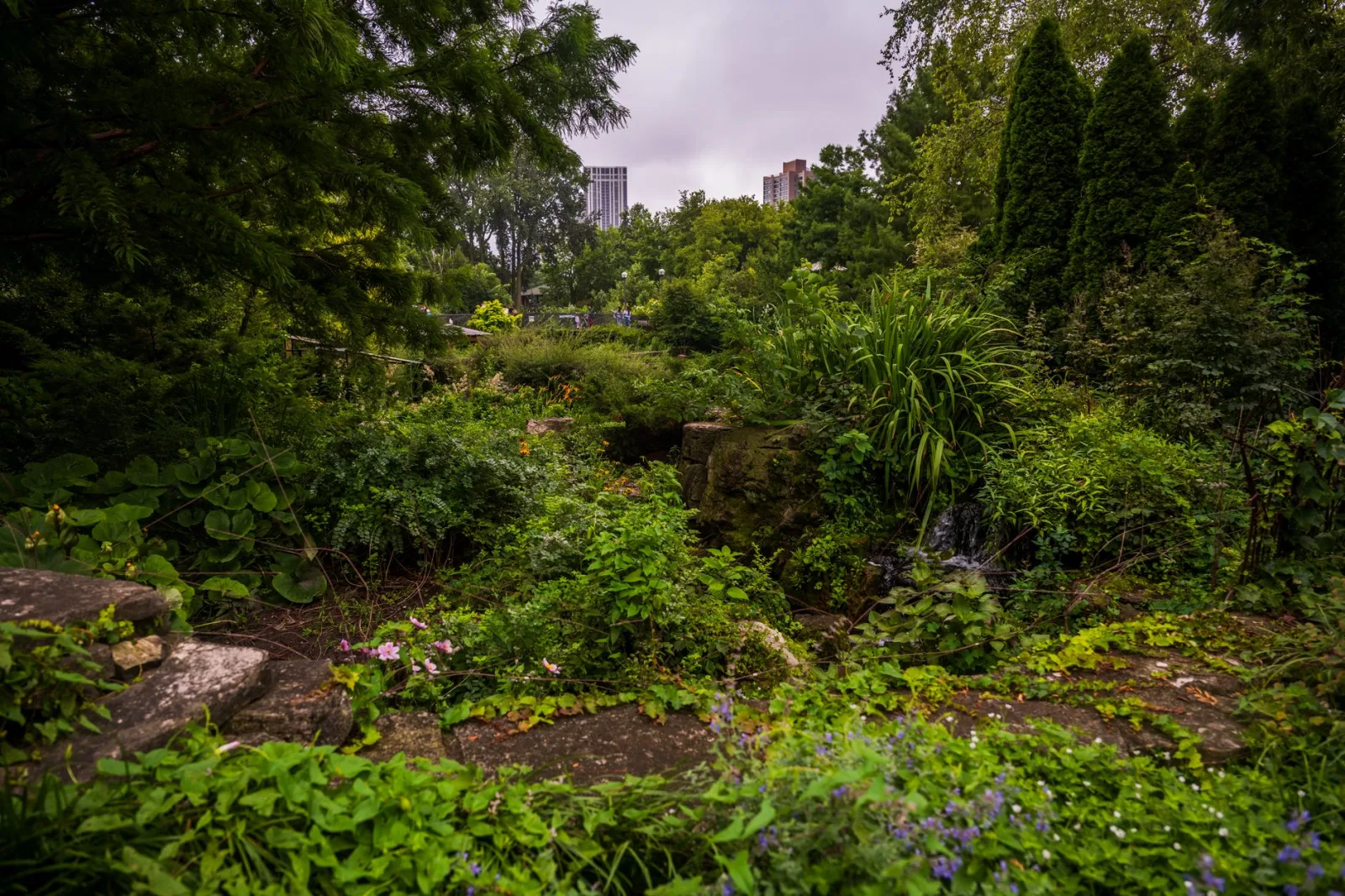 A vibrant urban garden featuring a small waterfall with city skyline in the background.